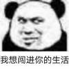 暴漫 熊猫头 我想闯进你的生活 开心 搞怪 逗