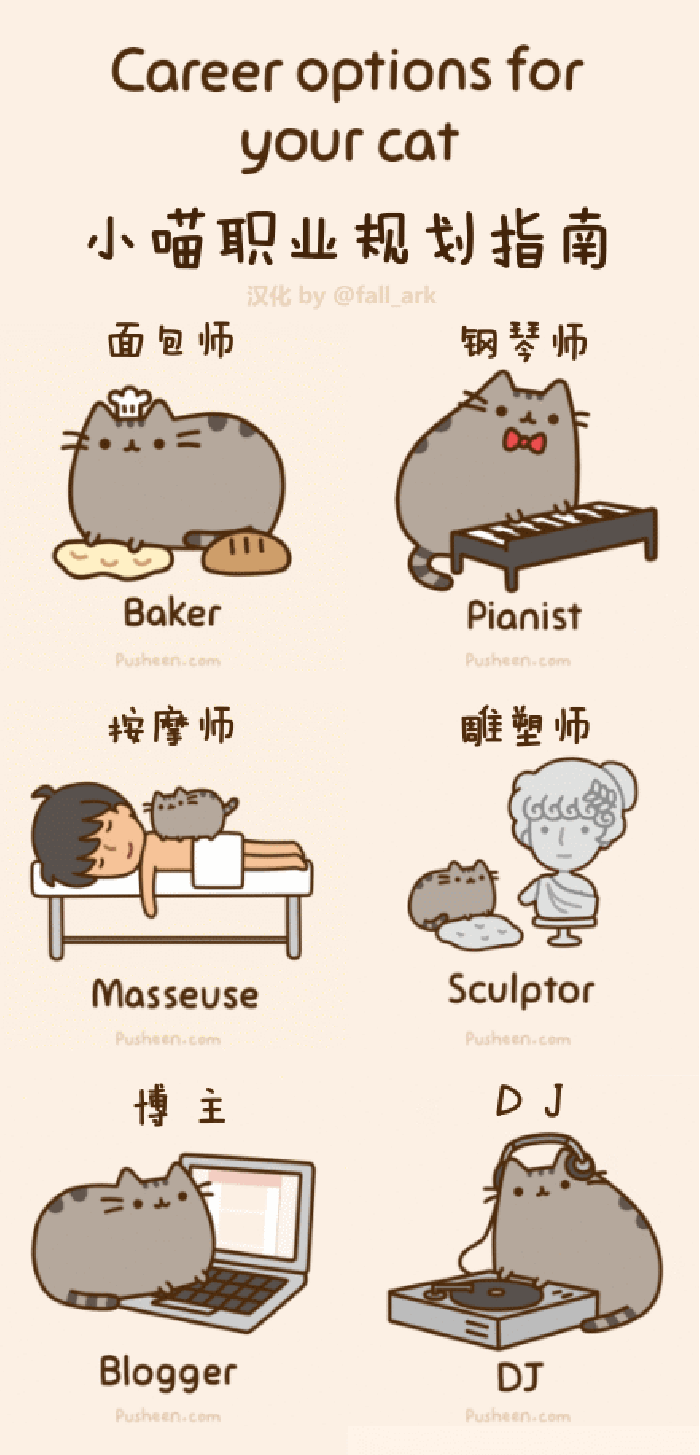 猫咪 面包师 钢琴师 工作