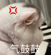 萌宠 喵星人 气鼓鼓 生气 搞怪 逗
