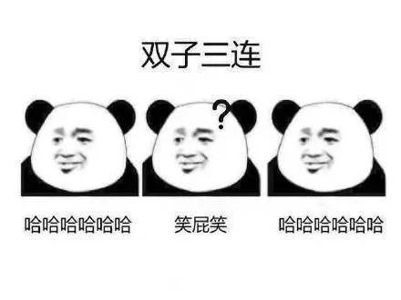 熊猫头 双子三连 哈哈哈 笑屁笑 斗图 搞笑 猥琐