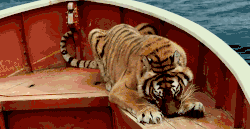 老虎 大吼 船上 萌宠