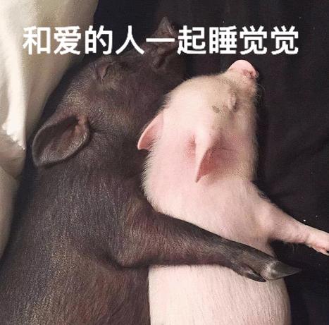 魔性 沙雕 大杂烩 搞笑 文字表情包