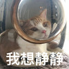 萌宠 猫星人 我想静静 难受 呆萌 可爱