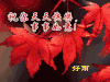 枫叶 红色 祝福 漂亮
