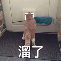 萌宠 猫咪 猫 溜了 拒绝