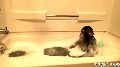 猴子 浴缸 泡澡 玩泡泡 可爱