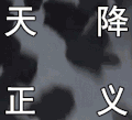 孙悟空 西游记 天降正义