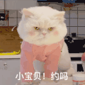 萌宠 猫星人 小宝贝 约吗 wink 呆萌 可爱