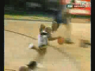 NBA 超音速 雷阿伦 突破 过人 上篮