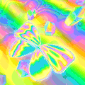 蝴蝶 色彩 魔幻的 trippy
