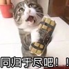 萌宠 喵星人 同归于尽吧 和你拼了 搞怪 逗