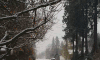 中雪 小镇 唯美 景色 snow nature