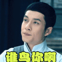 短发 眉毛 黑色 说话