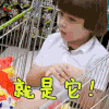 闪亮的爸爸 莱昂 就是它 soogif soogif出品