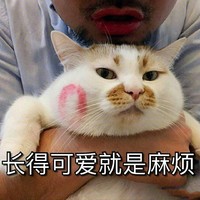 猫咪 可爱 搞笑 唇印 长的可爱就是麻烦