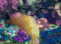 蓝精灵：寻找神秘村 蓝精灵3