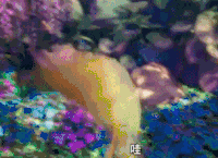蓝精灵：寻找神秘村 蓝精灵3