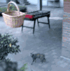 国外 女人 猫咪 搞笑