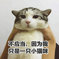 萌宠 猫咪 猫 喵星人 弱小 无助 伤心 搞怪