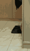 宠物 卧槽 吓死 猫 搞笑 喵星人 gif