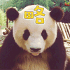 熊猫 略 soogif