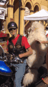 搞笑 猴子 可爱 有爱
