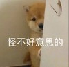 萌宠 汪星人 怪不好意思的 无奈 呆萌 可爱