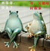 青蛙 天鹅 搞笑 哥天鹅啥里候来啊再等等快来了