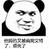 斗图 暴漫表情 他妈的又被疯狗艾特了 烦死了