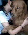狗狗 主人 拥抱 可爱