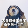 萌宠 汪星人 快亲我 还不亲我一口 可爱 呆萌