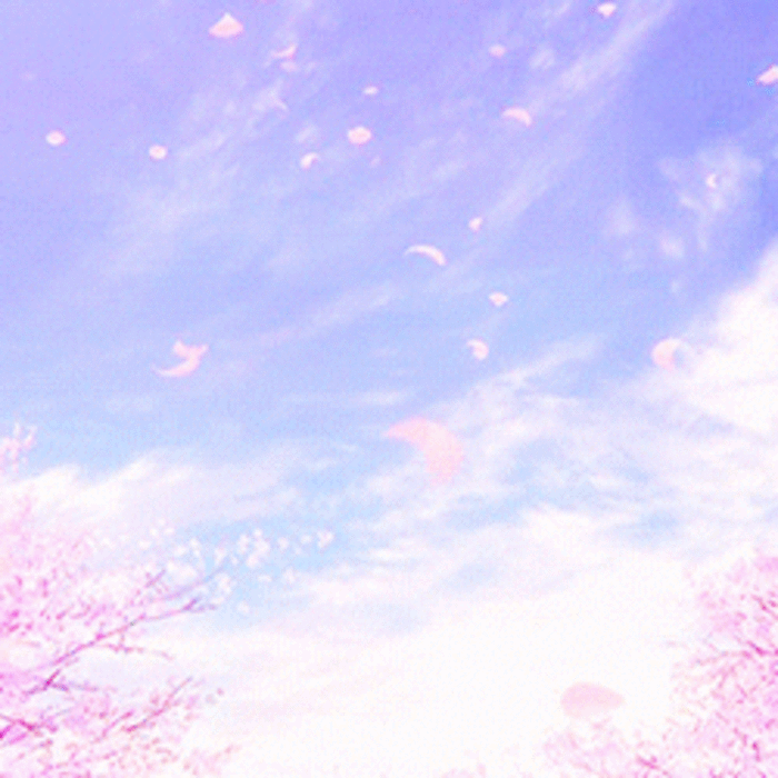 樱花 花瓣 粉色 可爱