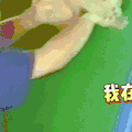 汪星人 可爱 狗狗 萌宠