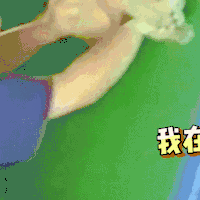汪星人 可爱 狗狗 萌宠