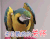 打招呼 鹦鹉 来自鹦鹉的关怀