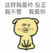金馆长 胖狗狗 抖腿 这群我最帅反正我不管我最帅