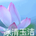 莲花 沙雕莲花 冰清玉洁