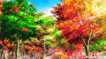 红色 大树 落叶 秋天