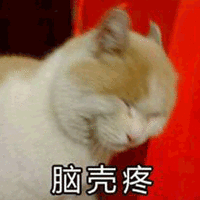 猫咪 伤心 脑壳疼