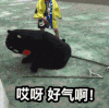 熊本熊 哎呀 好气啊 黑色