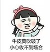 斗图 QQ必备 牛皮莫吹破了 小心收不到场合