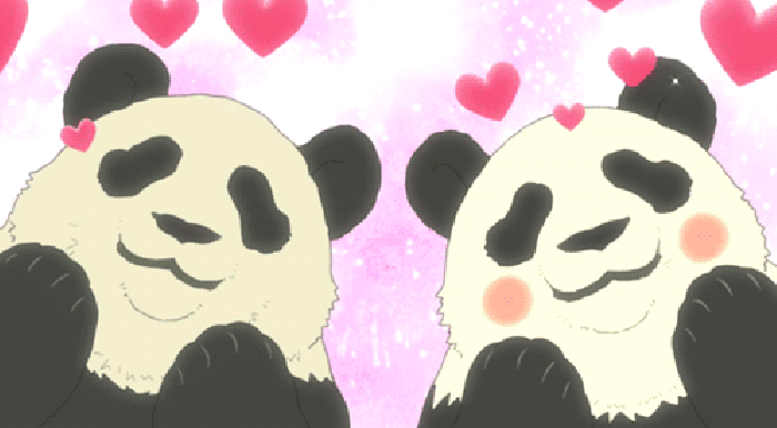 熊猫 说话 爱心 可爱
