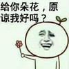 小花 搞笑 斗图 滑稽