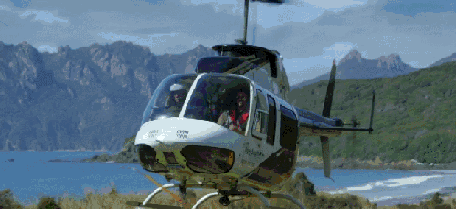 出行 搞动作 直升机 纪录片 非洲猫科