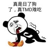 金馆长 吐血 真是日了狗了 真TMD难吃