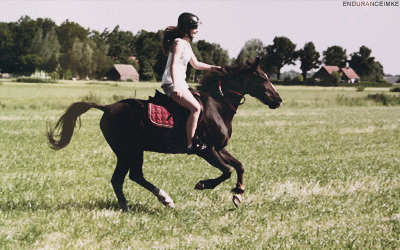 马术 Equestrianism sports 马