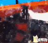 鱼儿 变色 稀奇 突然