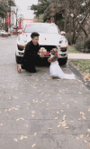 搞笑 求婚 泰迪 雷人
