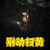 古墓丽影：源起之战 别动扫黄 劳拉 艾丽西卡·维坎德 劳拉·克劳馥 soogif soogif出品
