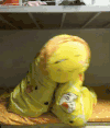 被子 玩偶 搞笑